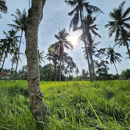 Casa Idea Ubud Eksteriør billede